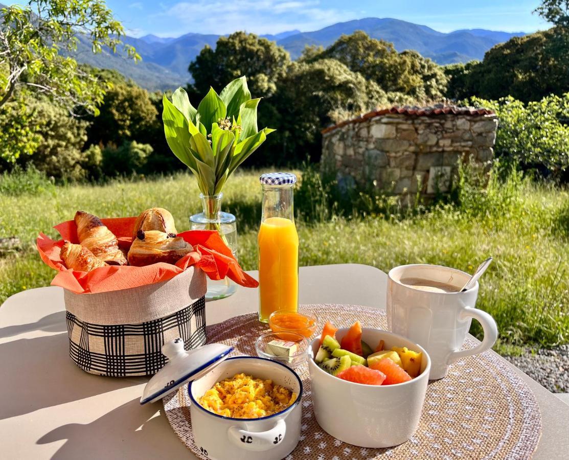 Tradition Corse Et Modernite A Cantina Granace Экстерьер фото
