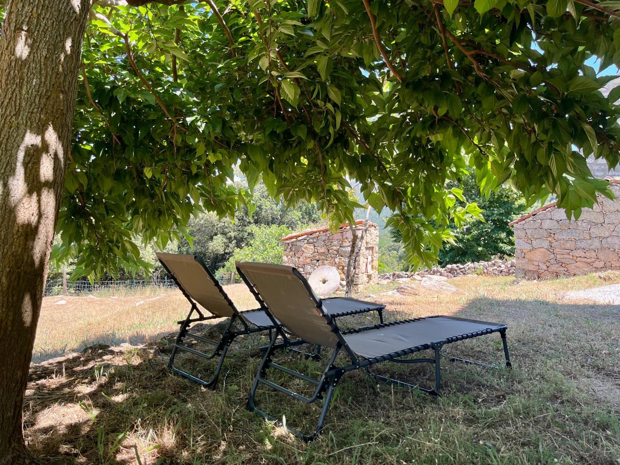 Tradition Corse Et Modernite A Cantina Granace Экстерьер фото